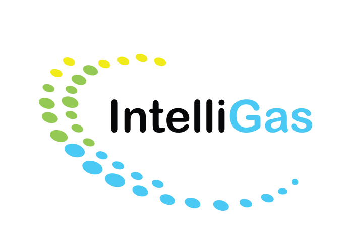 Intelligas Logo